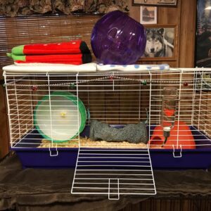 hedgehog cage 2
