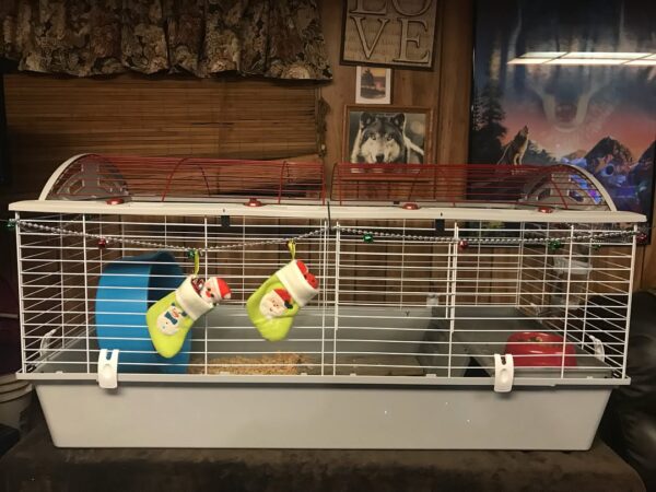 Hedgehog Cage 1