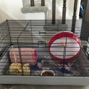 hedgehog cage 8