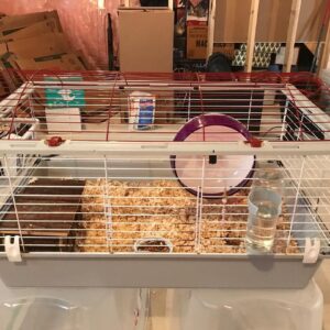 hedgehog cage 7