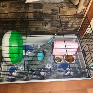 hedgehog cage 3