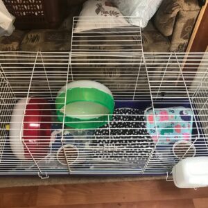 hedgehog cage 4