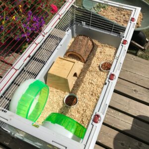 hedgehog cage 5